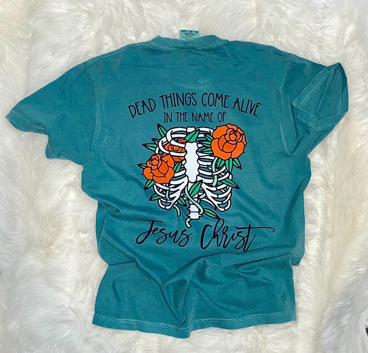 I know a name comfort color shirt | Brandon Lake tshirt | Dead things come alive tee | CeCe Winans lyric shirt