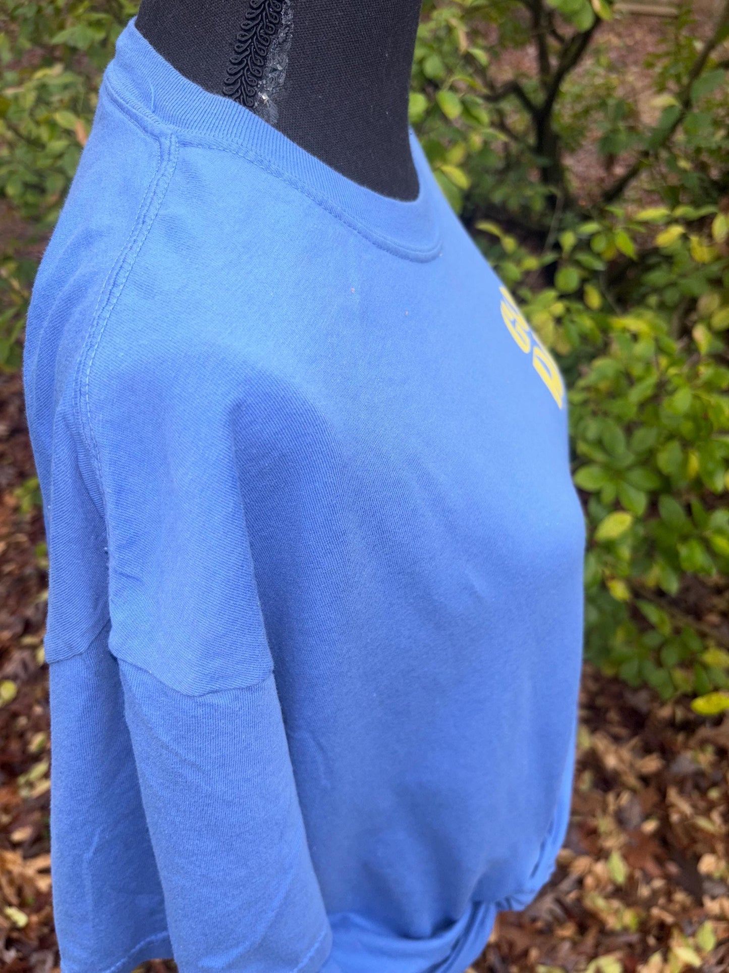 God did it by Toby Mac, Comfort colors t-shirt